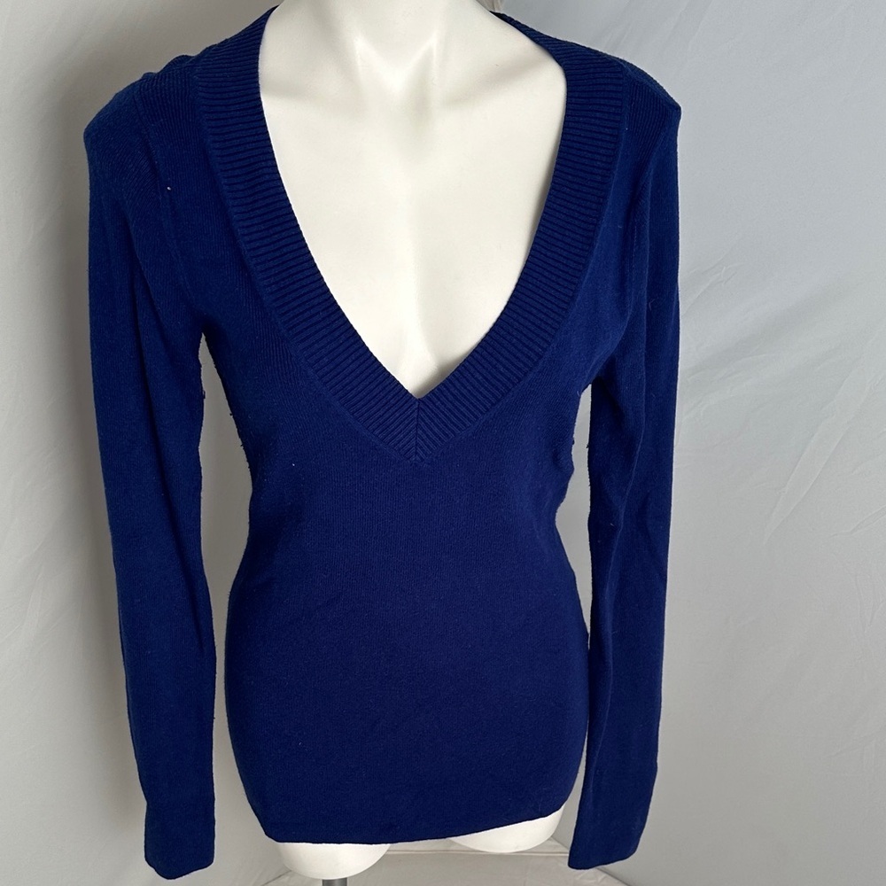 Express blue wide band v-neckline fitted sweater